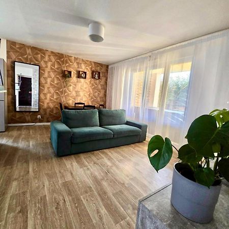 Appartement Rez De Chaussee Avec Parking Prive Ορλεάνη Εξωτερικό φωτογραφία